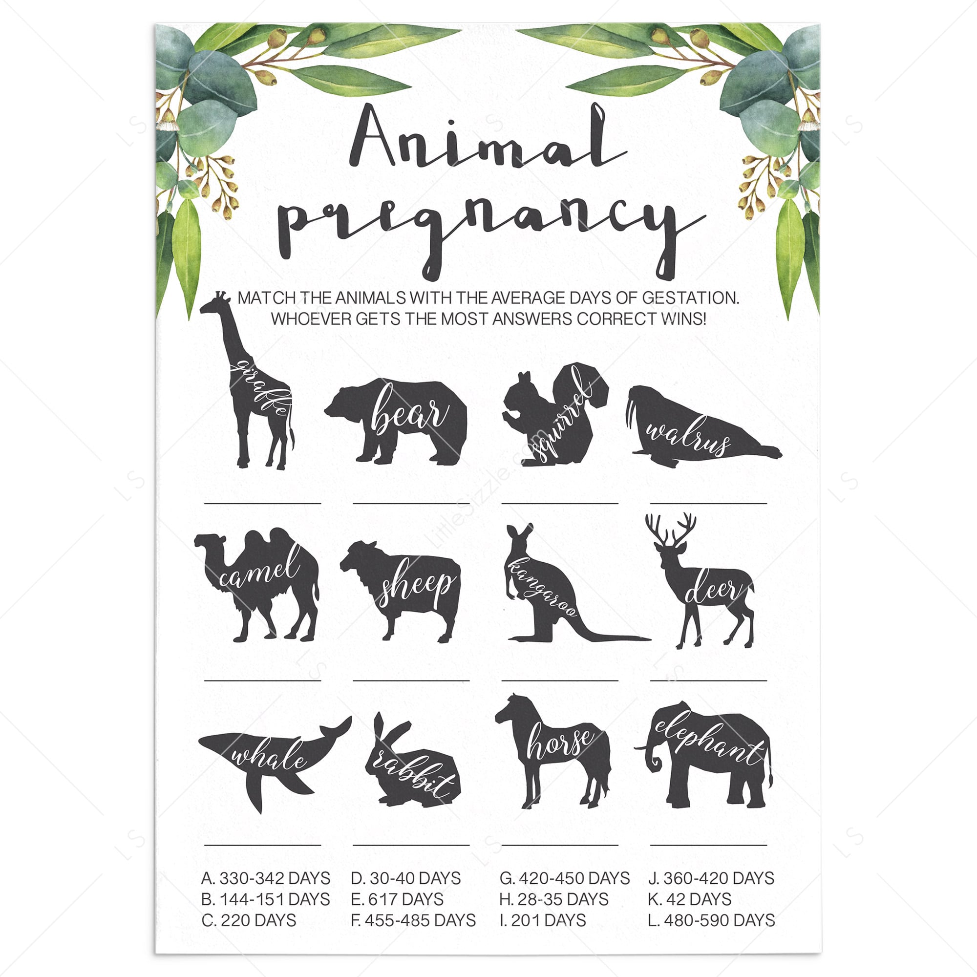 Eucalyptus Baby Shower Animal Gestation Game by LittleSizzle