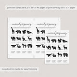 How long is each animal pregnant quiz by LittleSizzle