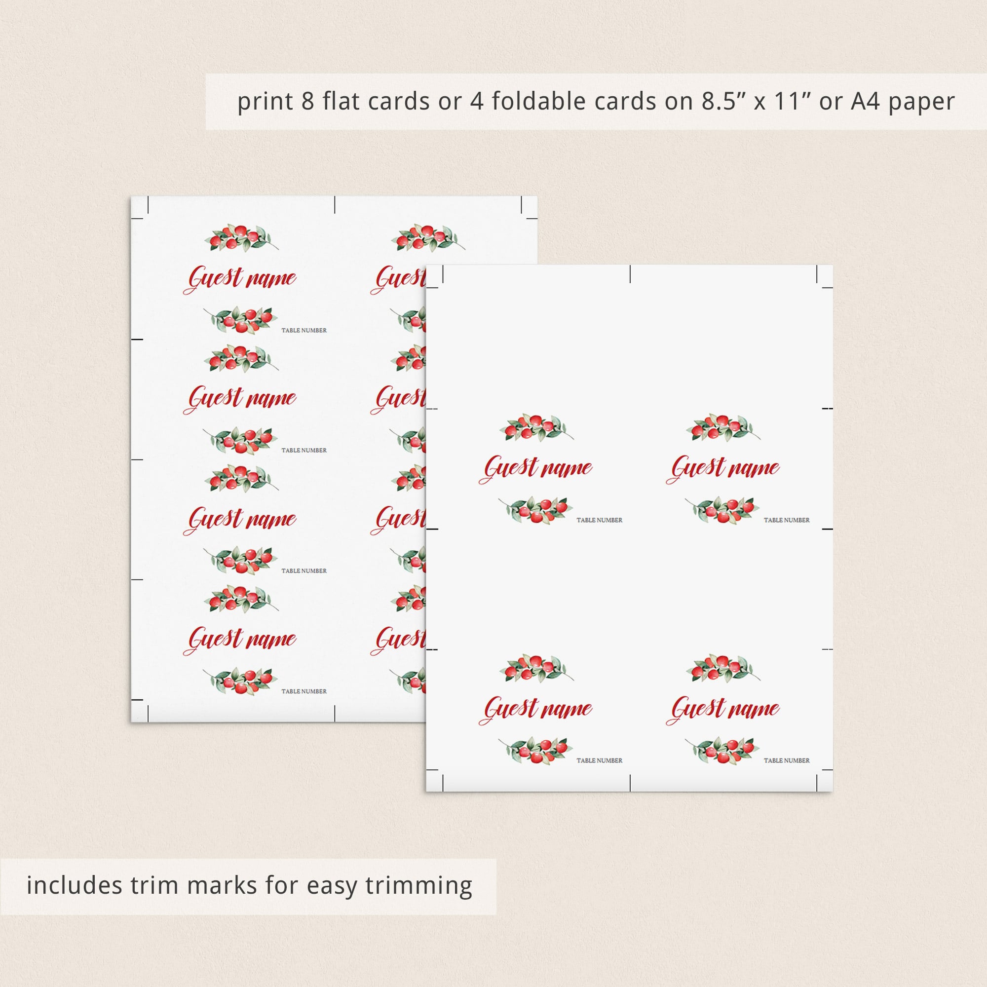 Christmas name cards template download by LittleSizzle