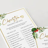 Adult Christmas Naughty or Nice List Printable