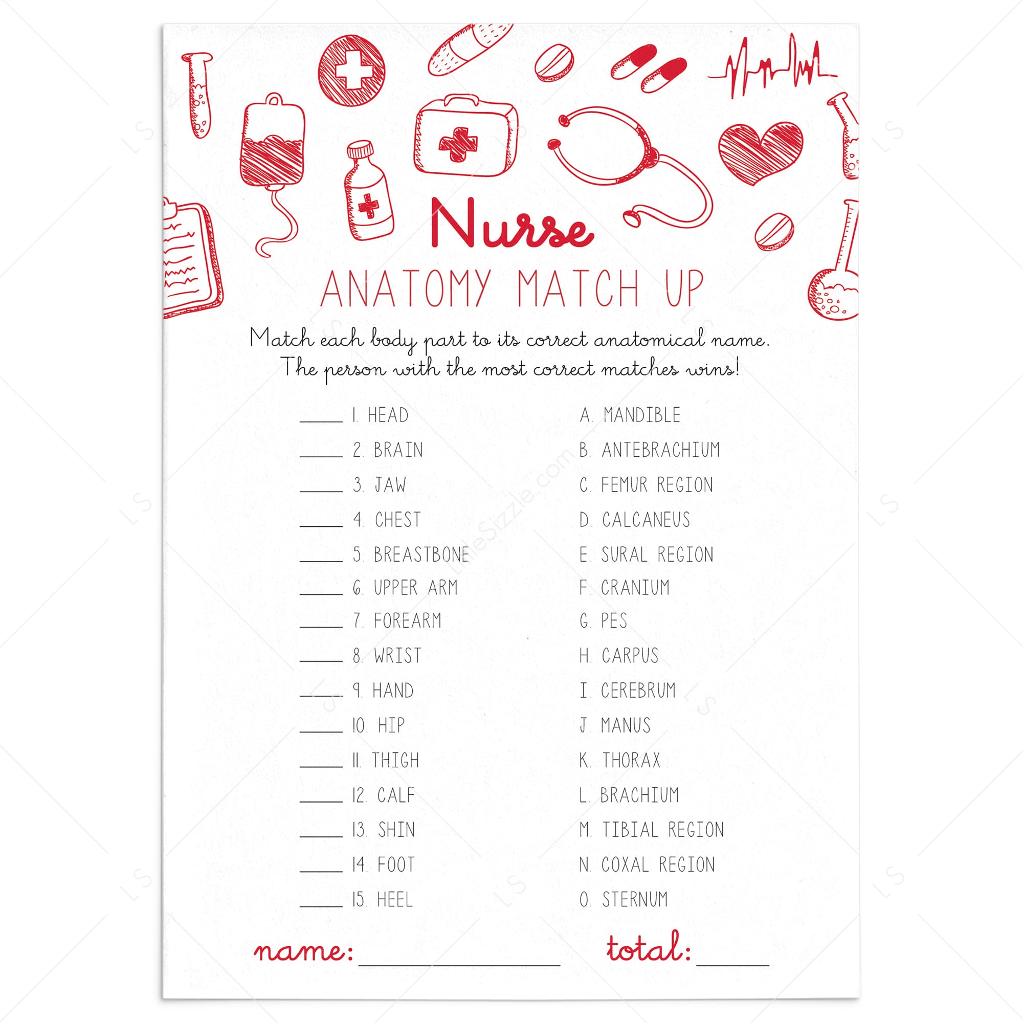 Anatomy Matching Game Printable Answers Included by LittleSizzle