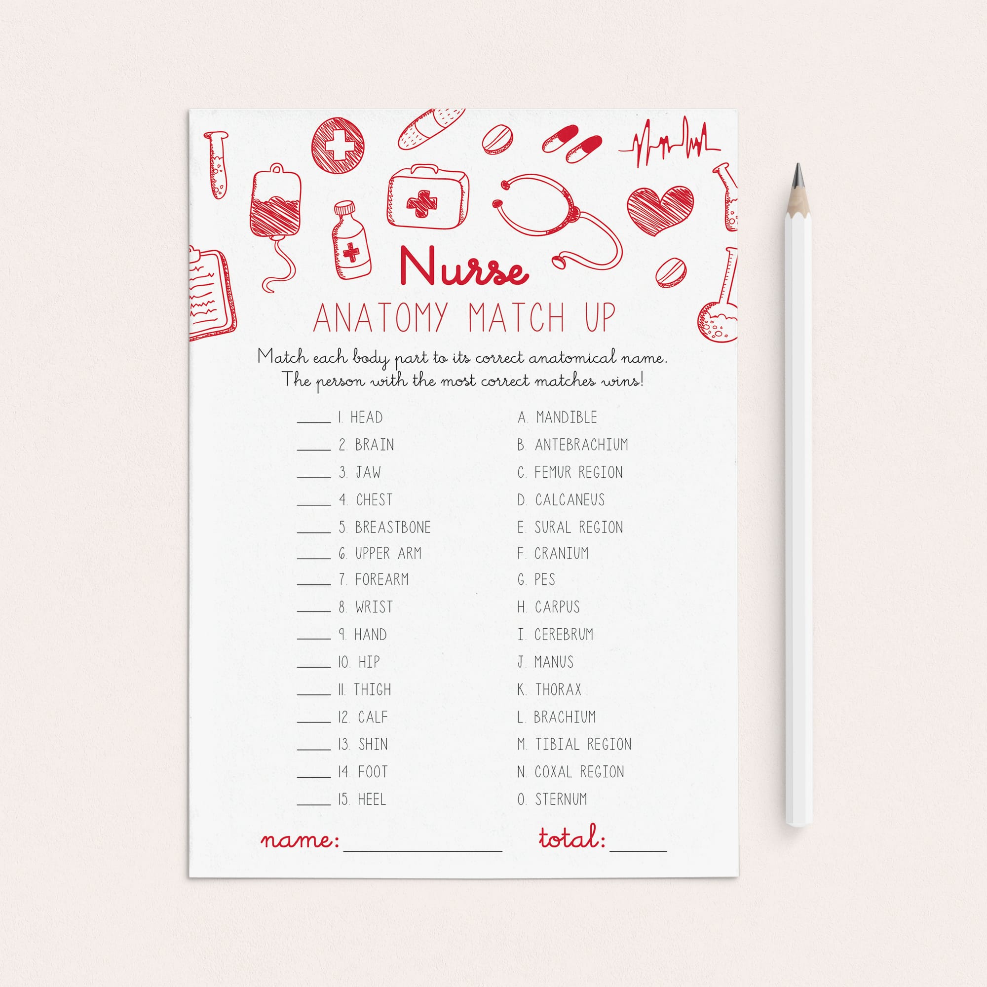 Anatomy Matching Game Printable Answers Included by LittleSizzle