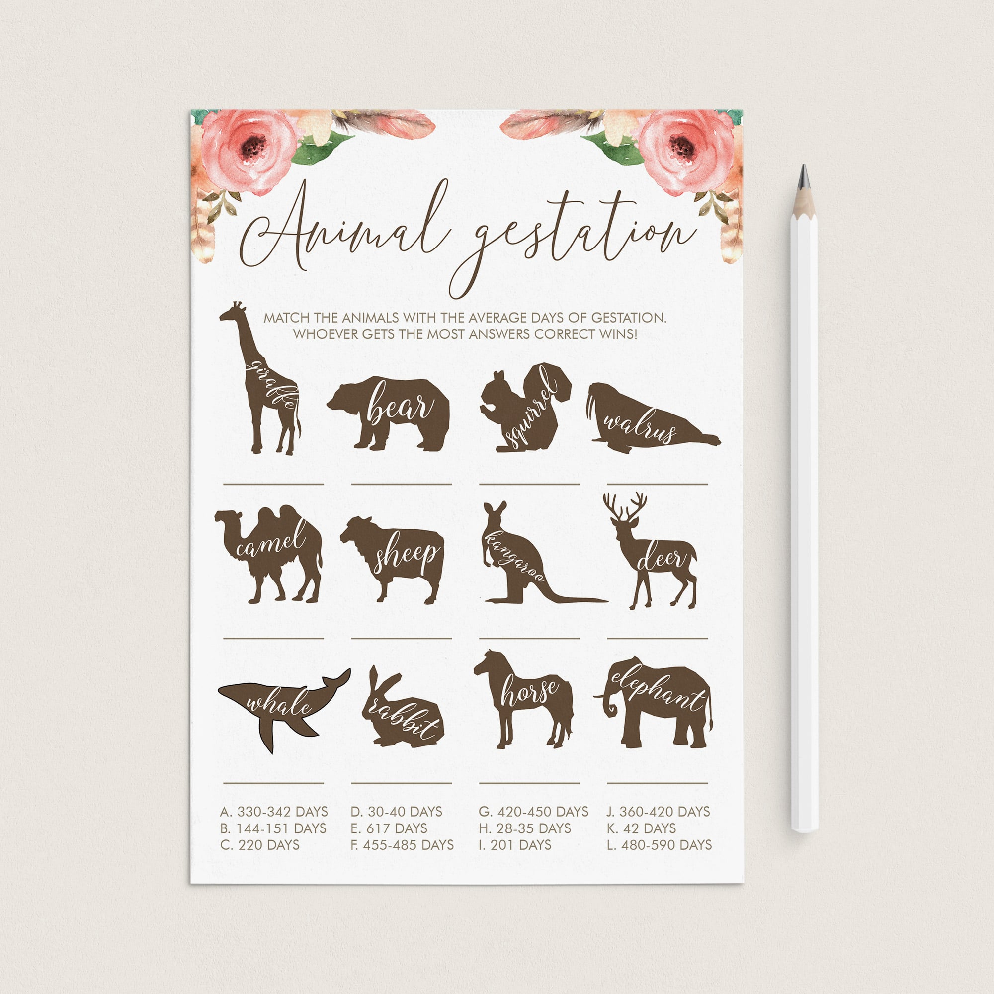 Animal Gestation Girl Baby Shower Game Printable by LittleSizzle