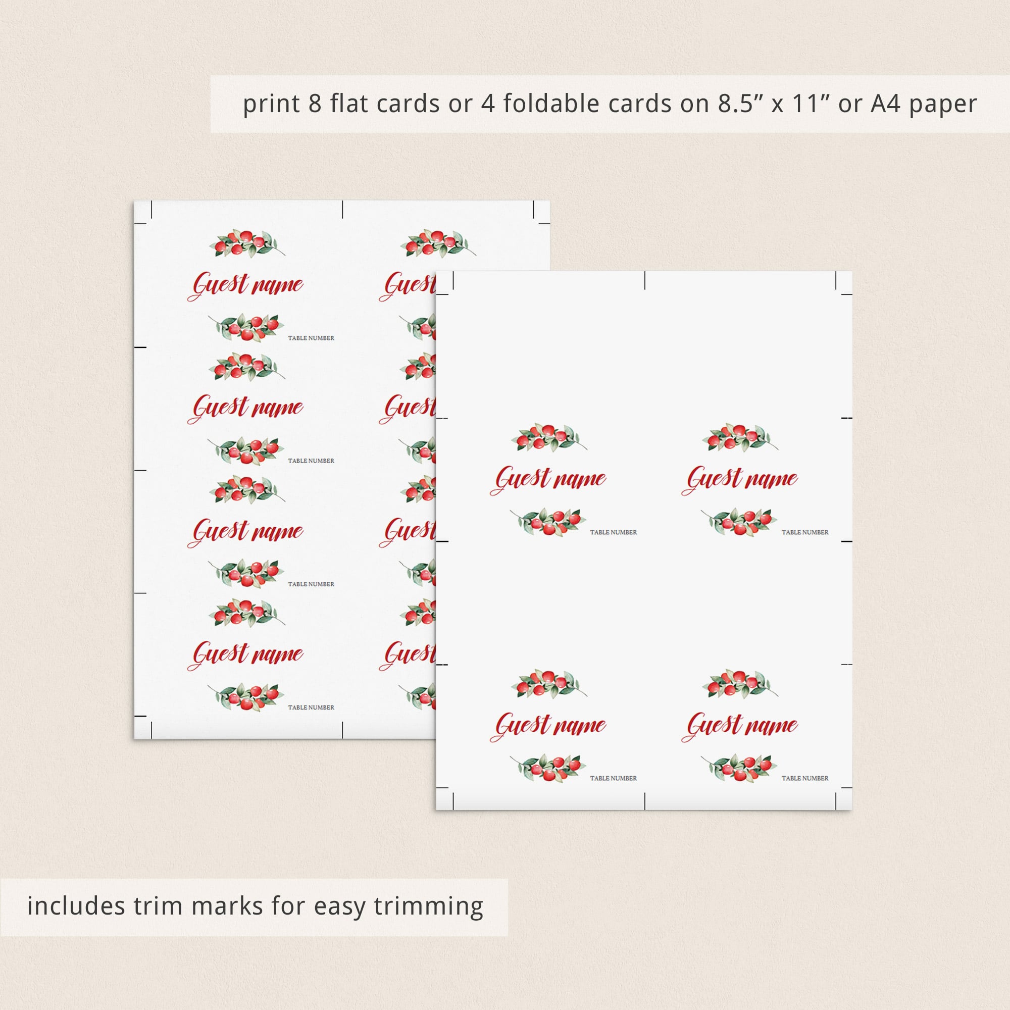 Christmas name cards template download by LittleSizzle
