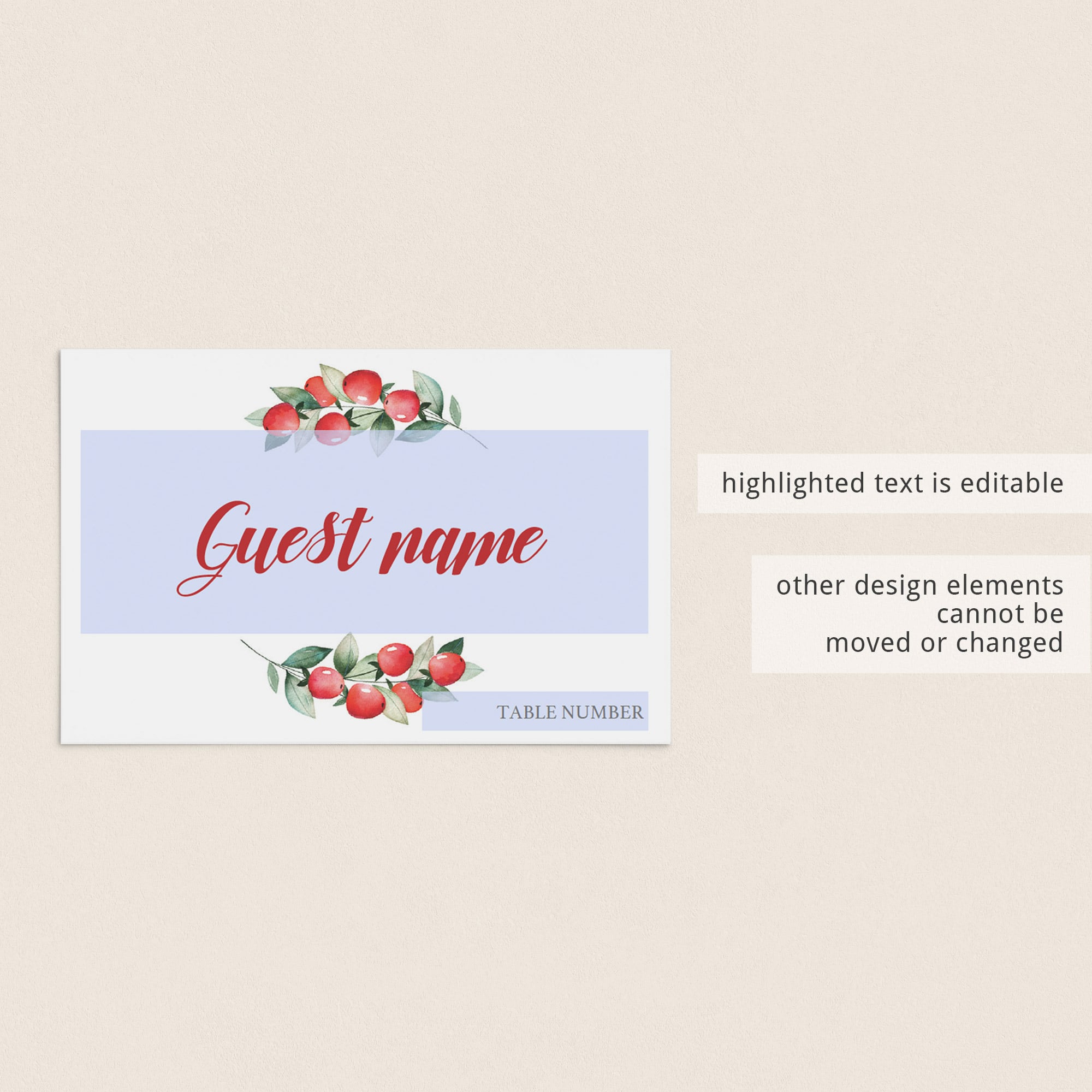 Holiday decorations editable place cards template by LittleSizzle