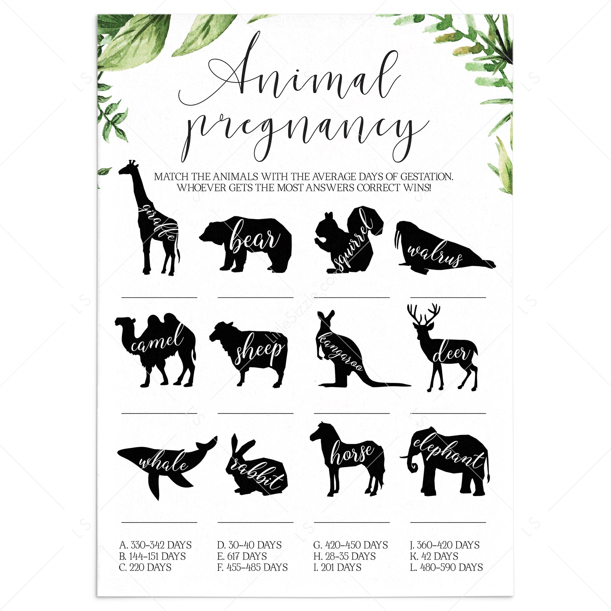 Funny Baby Shower Game Animal Pregnancy Instant Download by LittleSizzle