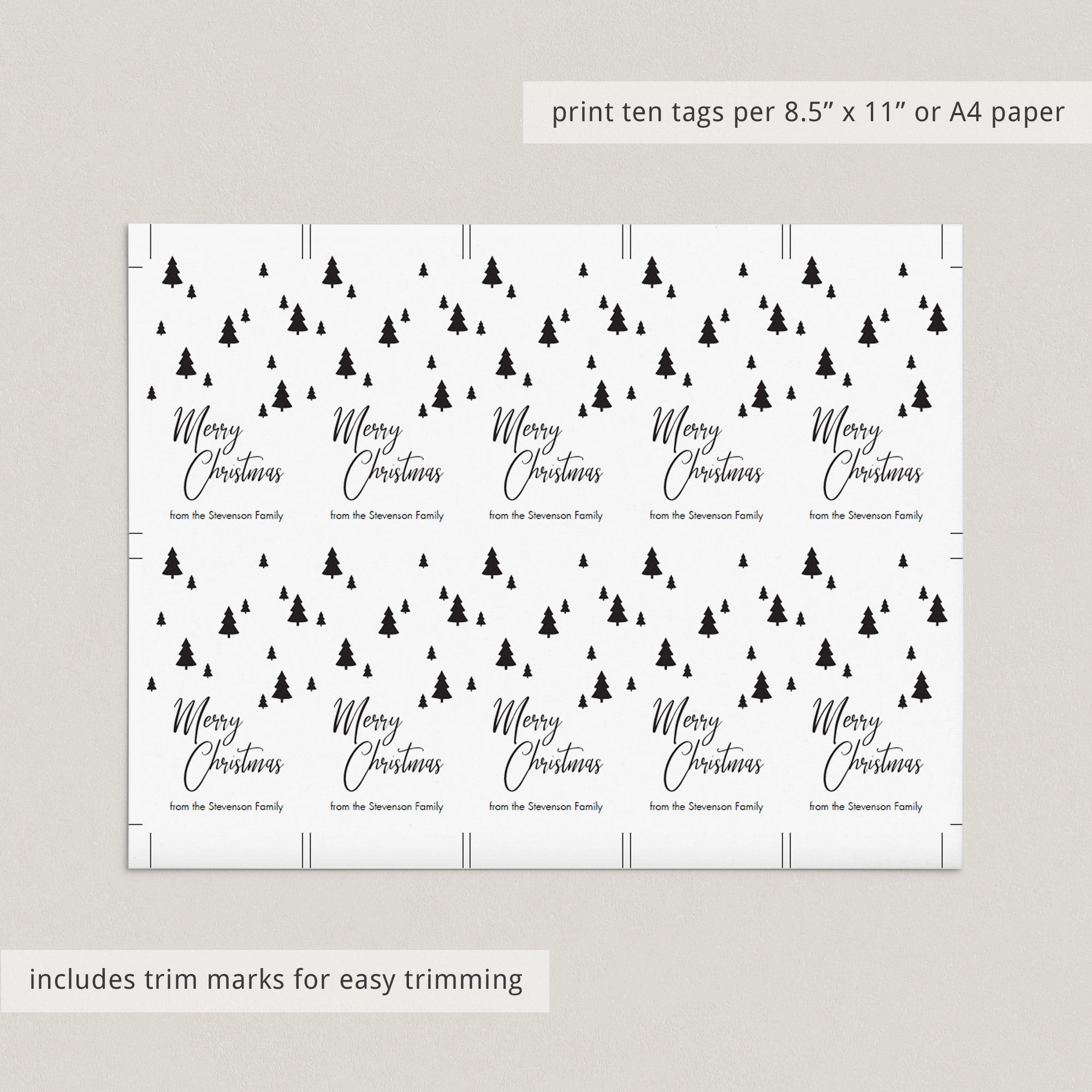 DIGITAL FILE - Printable Christmas Gift Fill in the Blank Name Tags (DIY)  set of 8 | Christmas Gift Tags | Holiday Gift Tag | Blank Tags